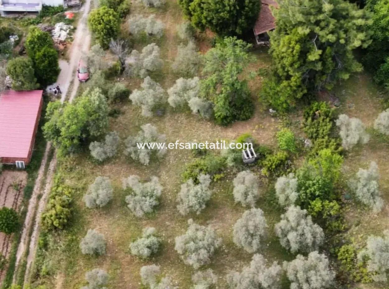 Muğla Menteşe Yaraş'ta Köy İçinde İmarlı 1228 M2 Arsa Ve Kargır Ev Satılık.   