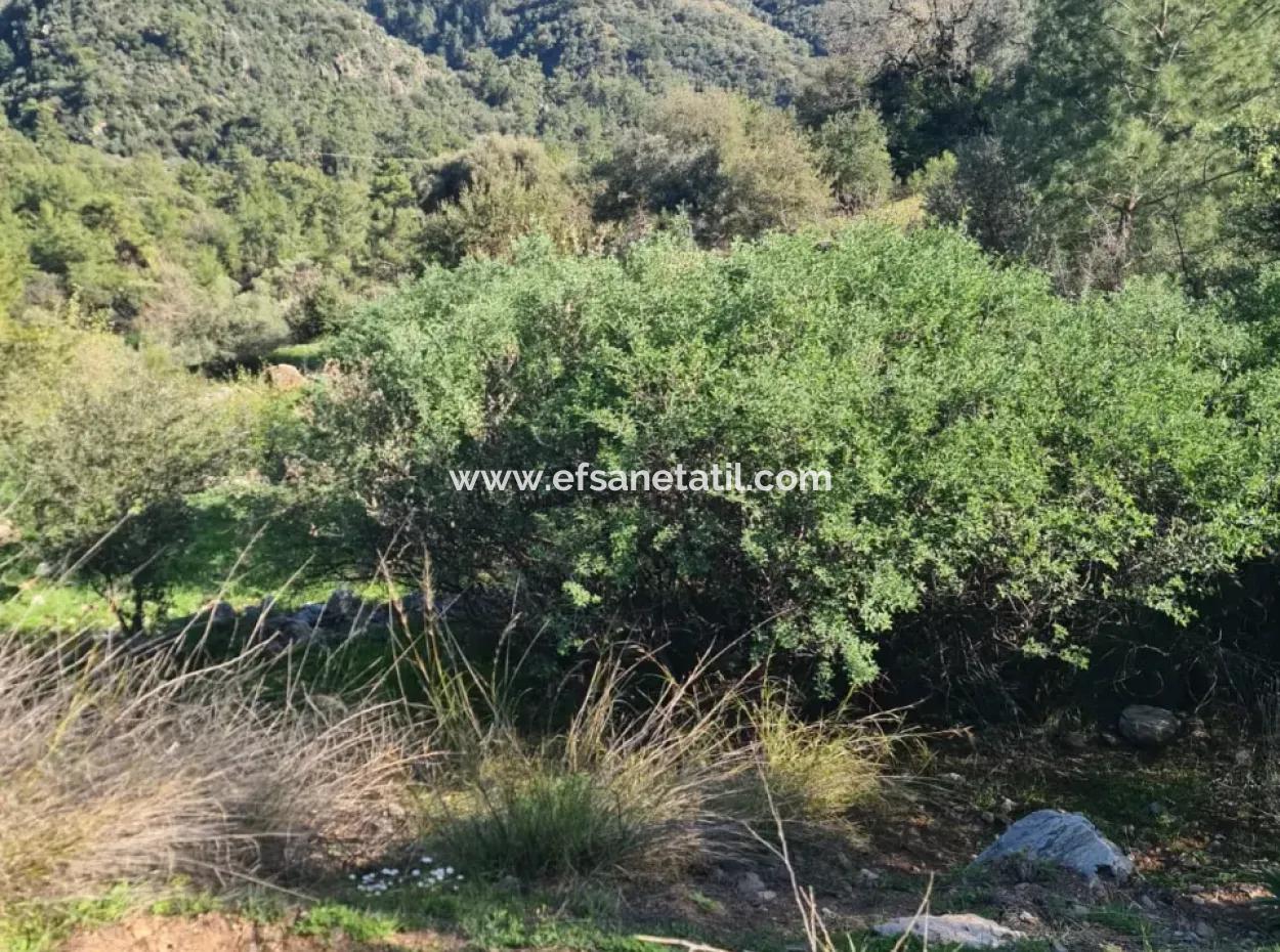 Fethiye İnlice'de 15.000 M² Müstakil Arazi Satılık
