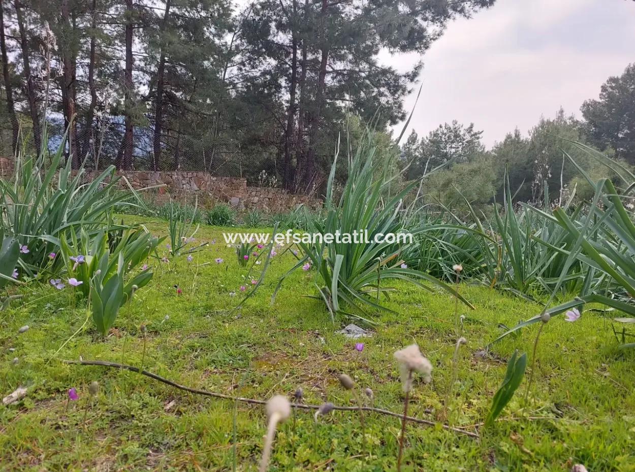 Dalaman Gürköyde 3.500 M2 Deniz Manzaralı Müstakil Arazi Satılık