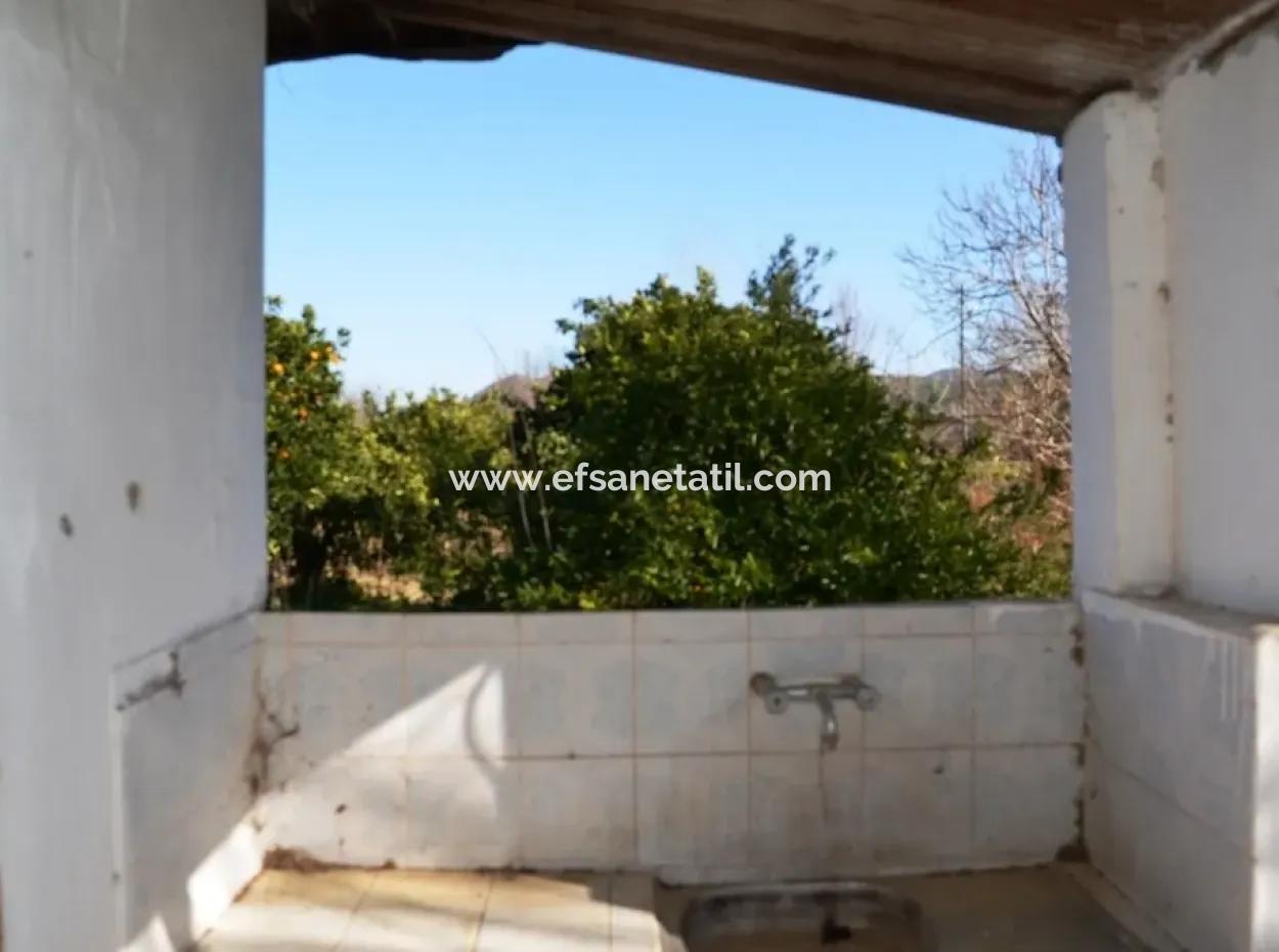 Beyobasında Satılık Köy Evi Ve Portakal Bahçesi