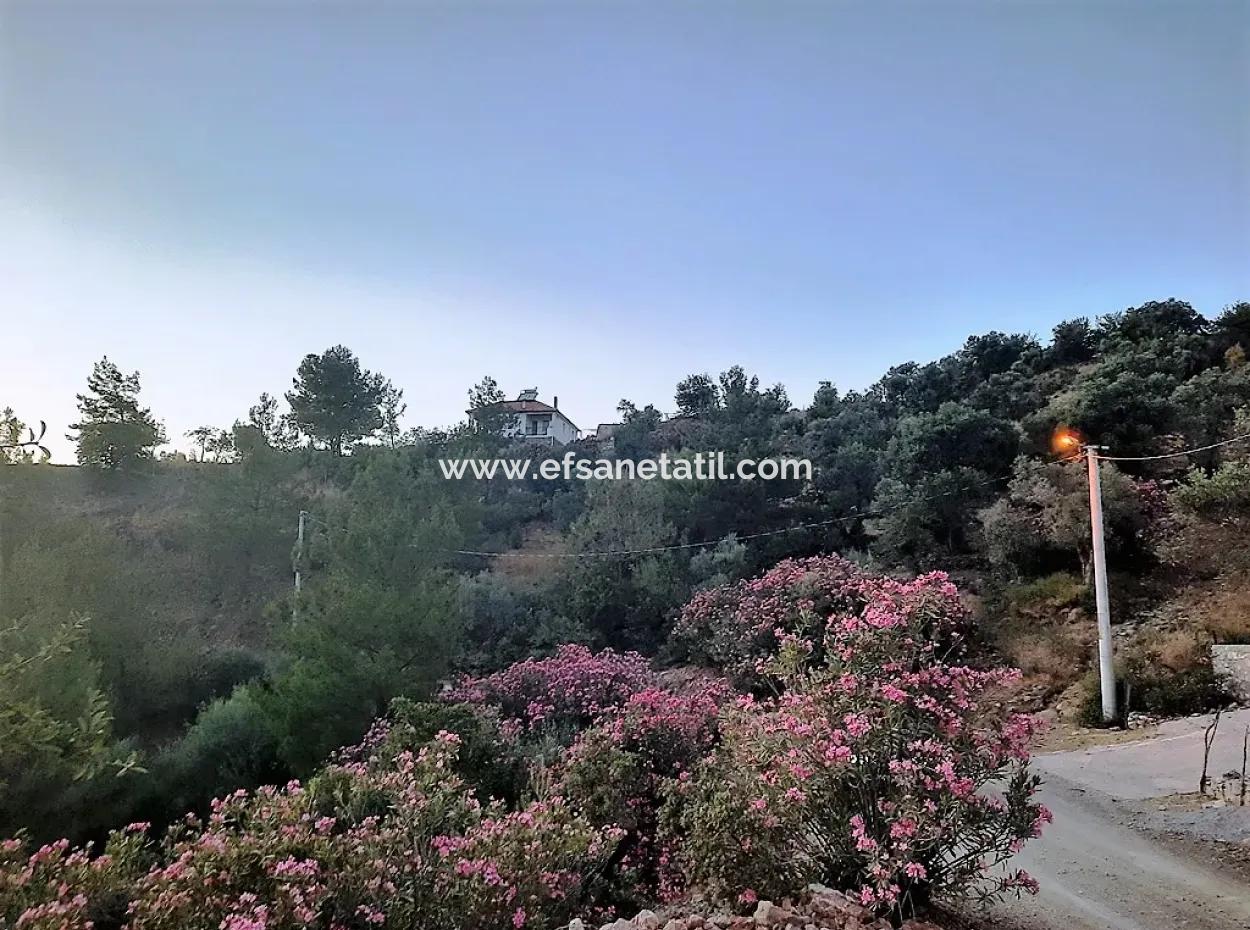 Muğla Ortaca Gökbel De Satılık Müstakil Tapulu 238 M2 Hobi Bahçesi Arazi