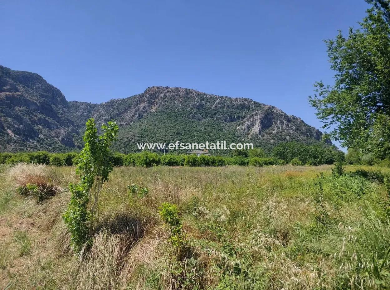 Muğla Marmarlı Da 5 800 M2 İmar Planı İçinde Yatırıma Uygun Satılık  Arsa
