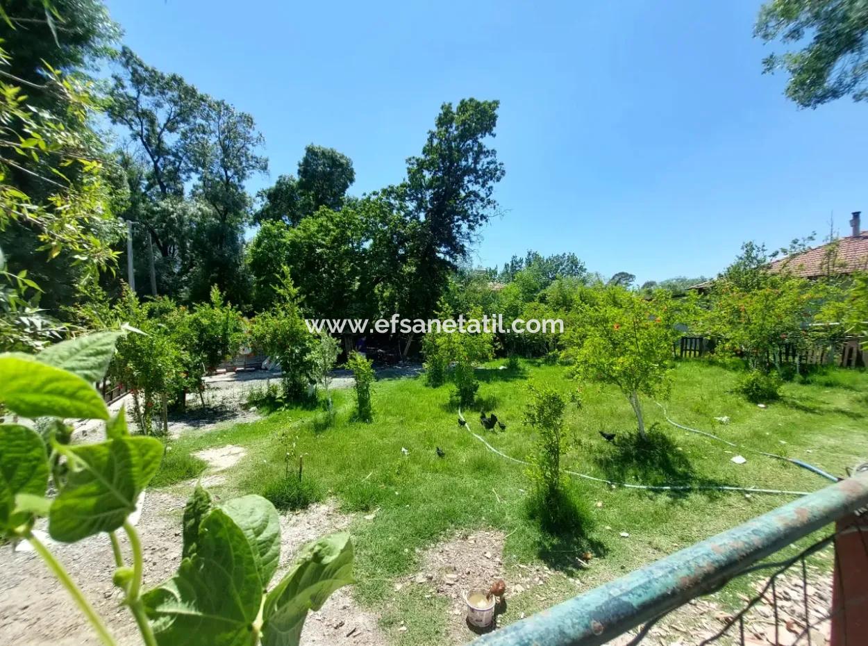 Muğla Dalyanda 600 M2 Hazine Arazide 110 M2  Köy Evi Satılık