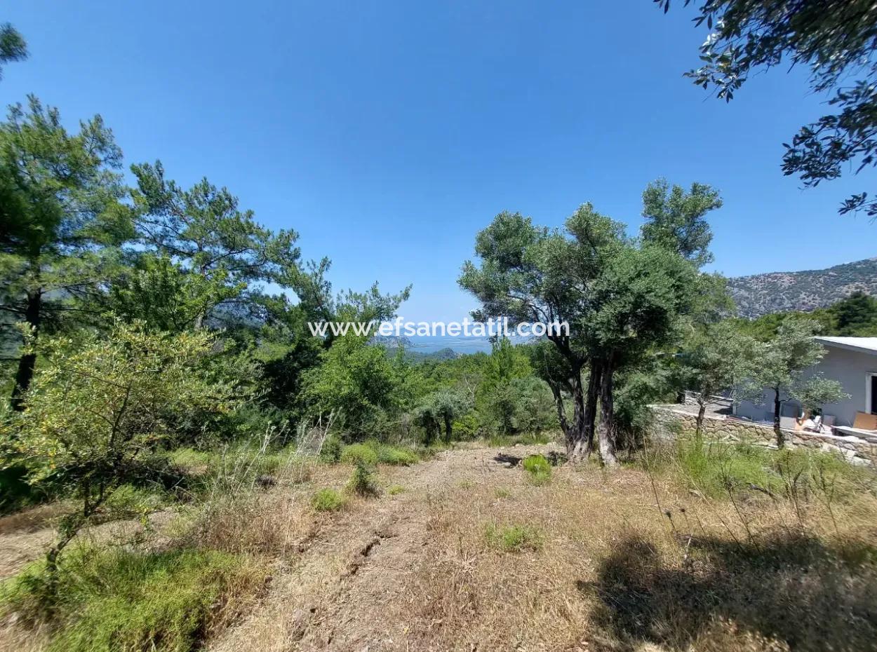 Mugla Gökbelde Göl Ve Deniz Manzaralı 1000M2 Arazi Satılık
