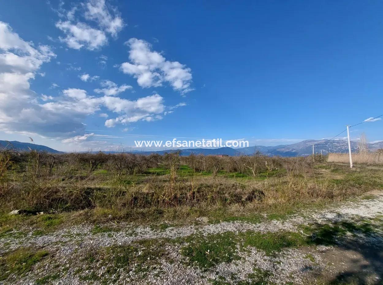 Ortaca Tepearasında  24.800 M2 Yatırım Ve Zirayi Krediye Uygun Nar Bahçesi Satılık