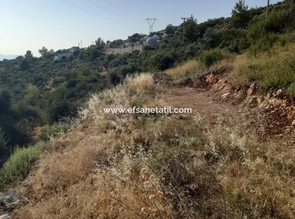 Antalya Kaş Kalkan İslamlarda Satılık 12 300 M2 Yatırıma Uygun Arazi