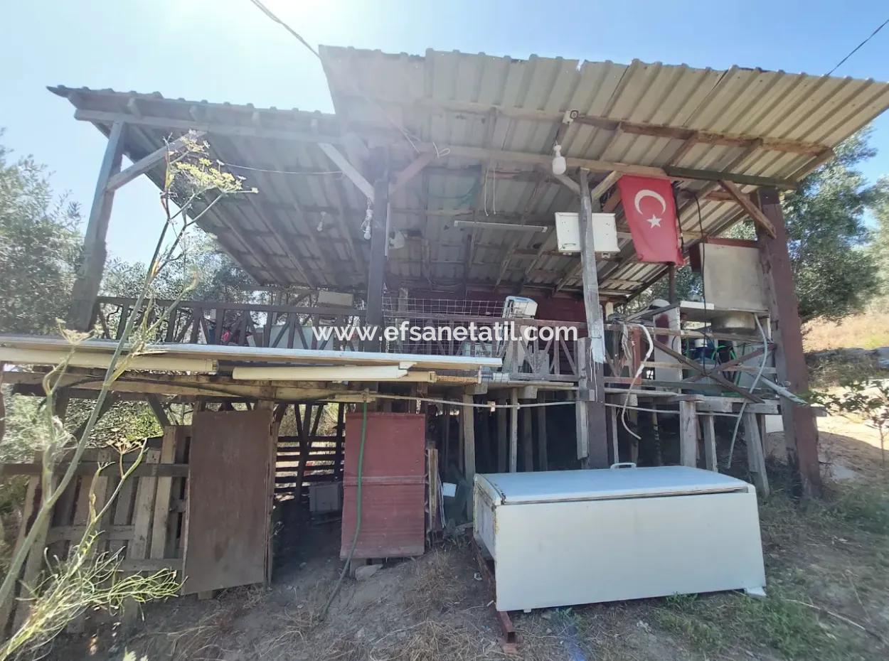 Ortaca Eskiköyde 2.500M2 Hazine Arazisinde Numaratajı Olan Bina İle Devren Satılık