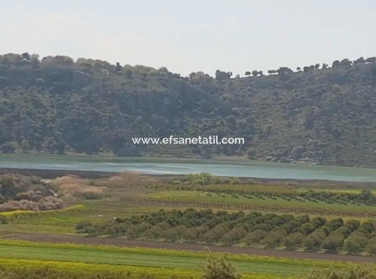 Muğla Dalaman Kapıkargın'da Göle Sıfır Hazine Arazisi – Zilliyet Devri Edilecek 