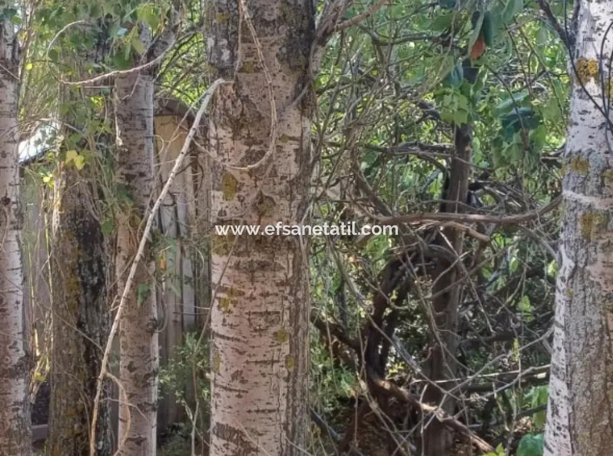 Denizli Çameli Gökçeyaka’da 750 M² Arazide 2 Katlı Taş Ev Satılık