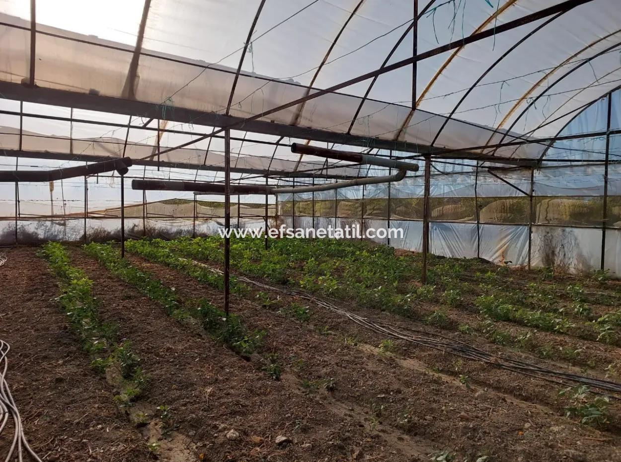 Ortaca Eskiköy’de 5.850 M² Göl Manzaralı Arazi Ve Köy Evi Satılık