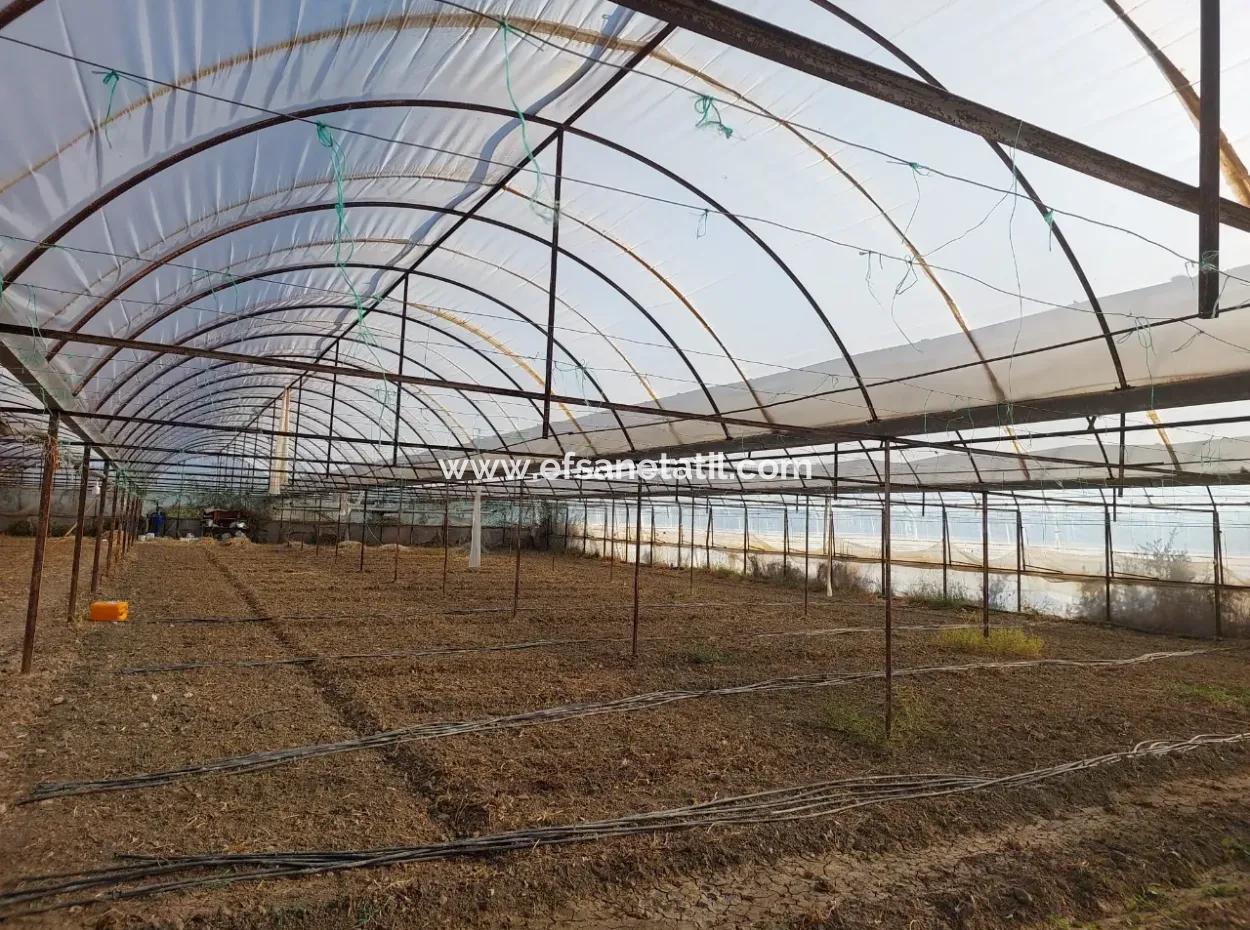 Ortaca Eskiköy’de 5.850 M² Göl Manzaralı Arazi Ve Köy Evi Satılık