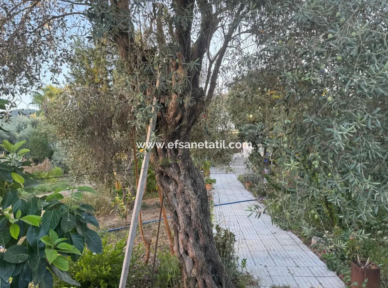 Muğla, Ortaca, Okçularda Konumu İyi  650 M2 Konut  İmarlı Arsa  Satılık