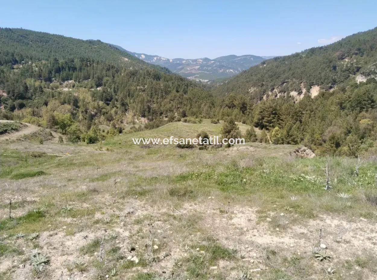 Çameli Kolakta Kelepir 20 000 M2 Müstakil Tapulu Arazi Satılık Veya Takas Olur.