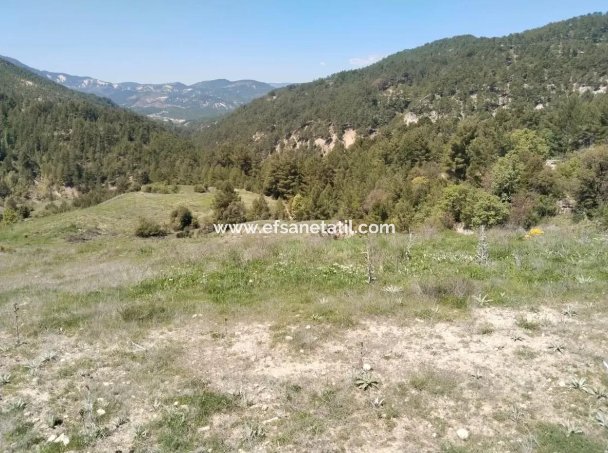 Çameli Kolakta Kelepir 20 000 M2 Müstakil Tapulu Arazi Satılık Veya Takas Olur.