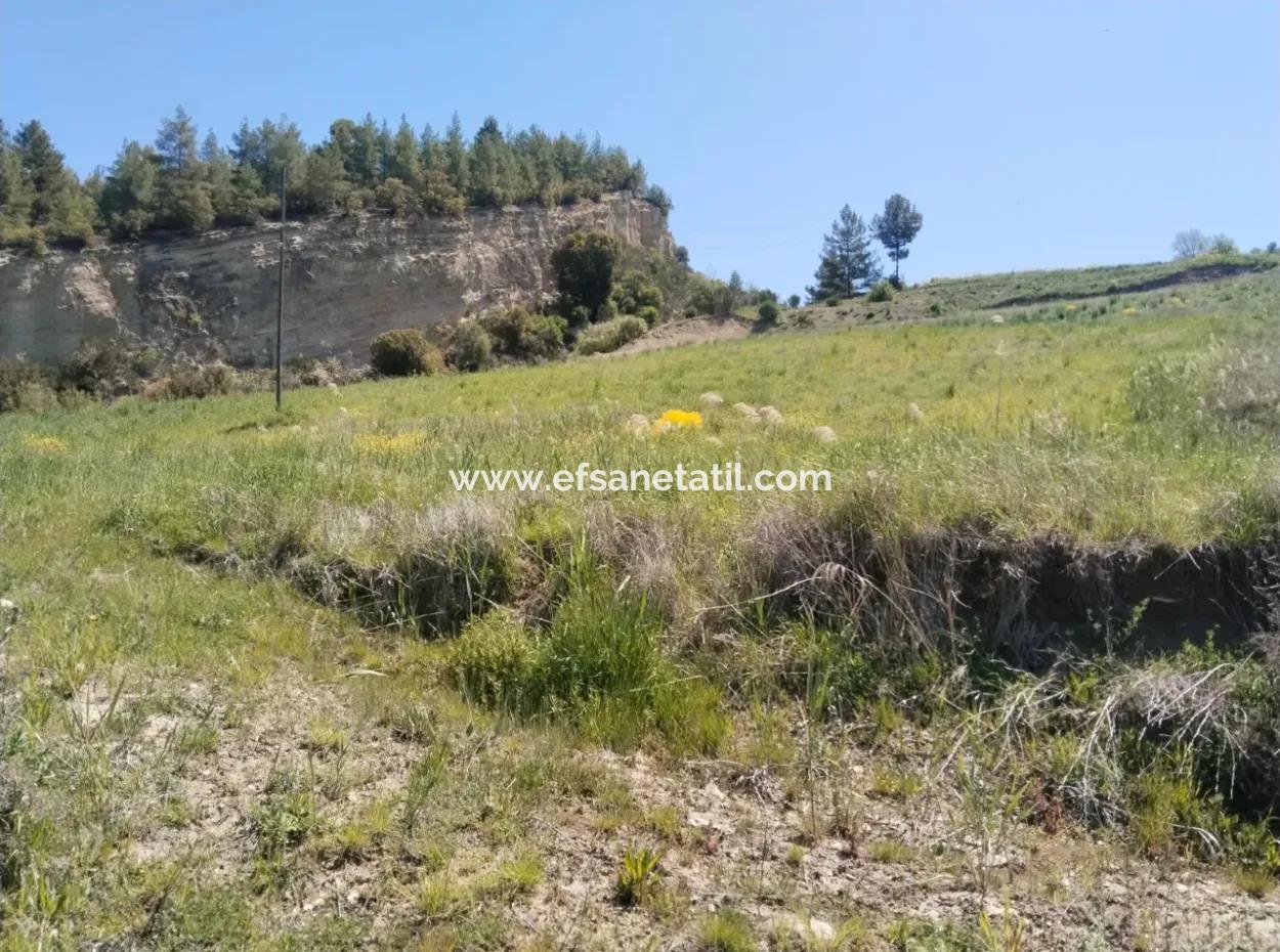 Çameli Kolakta Kelepir 20 000 M2 Müstakil Tapulu Arazi Satılık Veya Takas Olur.