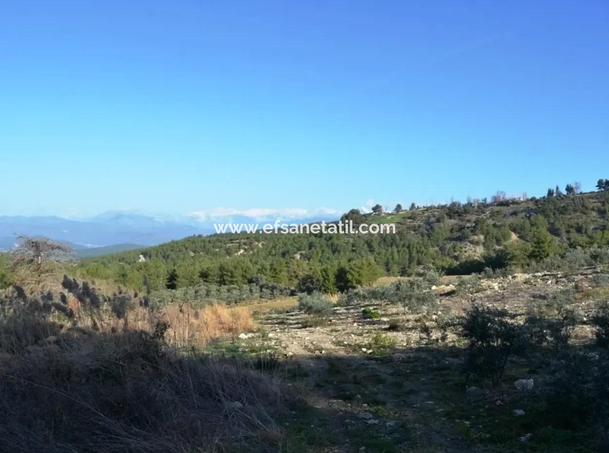 Fethiye Yaka Tlos Satılık Su Kenarı Değerli Arazi