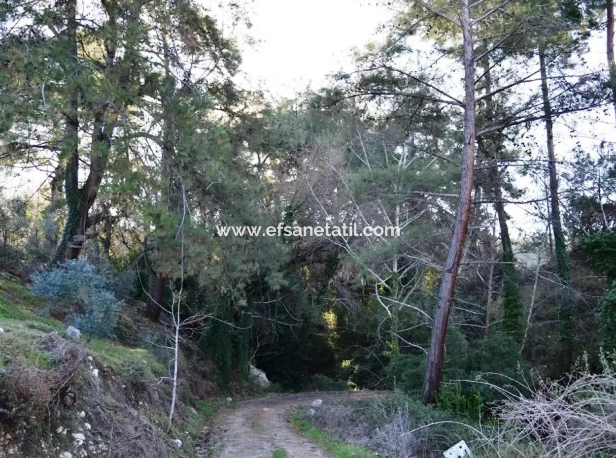 Fethiye Yaka Tlos Satılık Su Kenarı Değerli Arazi