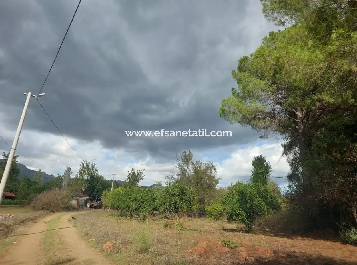 Muğla Köyceğiz Pınar Köyde  Muhteşem Manzaralı 2 Ayrı Parsel Satılık