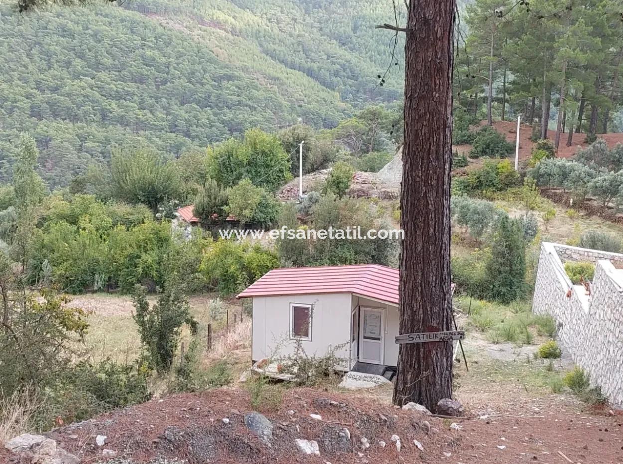 Muğla Köyceğiz Ağla - Yaylada 535 M2 Arsa Ve Tiny House Ev Satılık