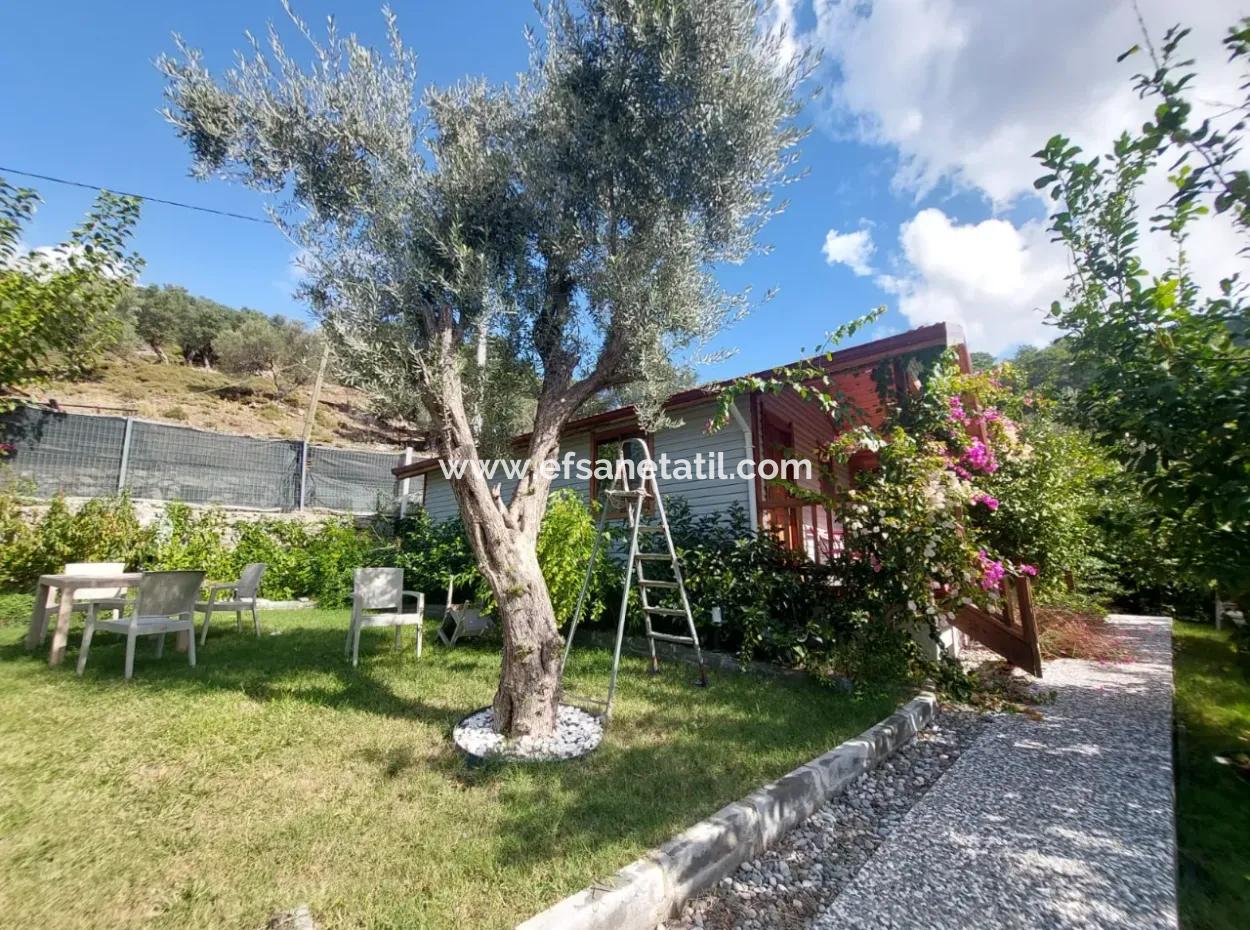 Muğla Ortaca Gökbel  Doga İçinde  Yüzme Havuzlu 1+1 Ahşap Eşyalı Bungalov Kiralık