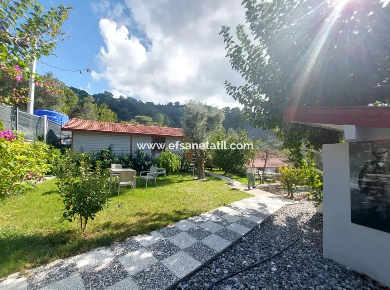 Muğla Ortaca Gökbel  Doga İçinde  Yüzme Havuzlu 1+1 Ahşap Eşyalı Bungalov Kiralık