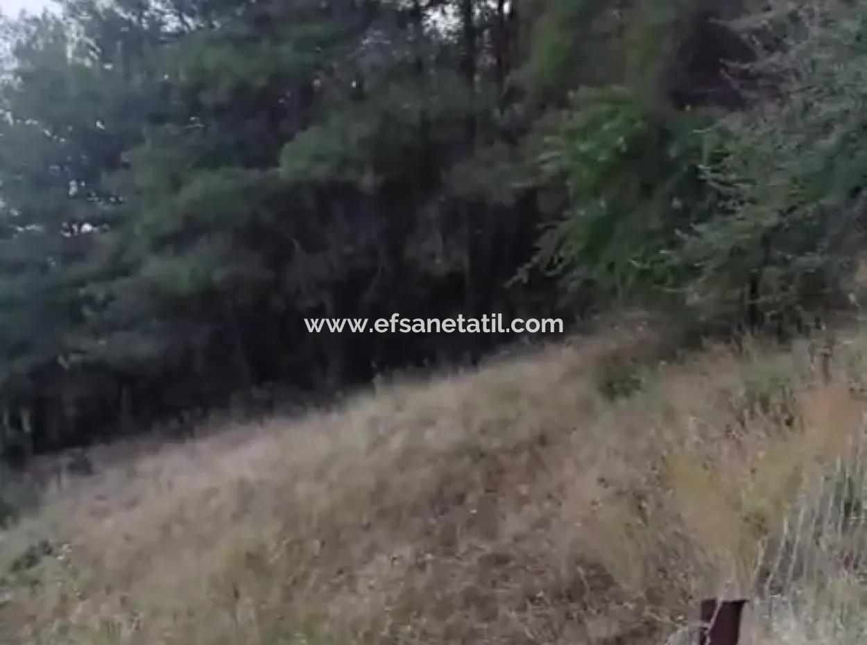 Muğla Ula  Kızılyaka 790M2 Hazine Arazisi Zilliyet Hakkı Devir Edilecek Veya  Araç Takas Olur