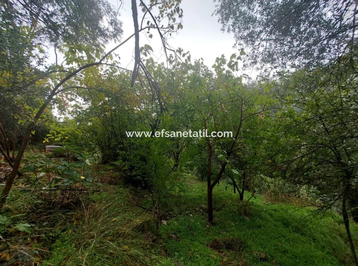 Muğla Fethiye İnlice’de Doğa İçinde Satılık Tapulu Köy Evi