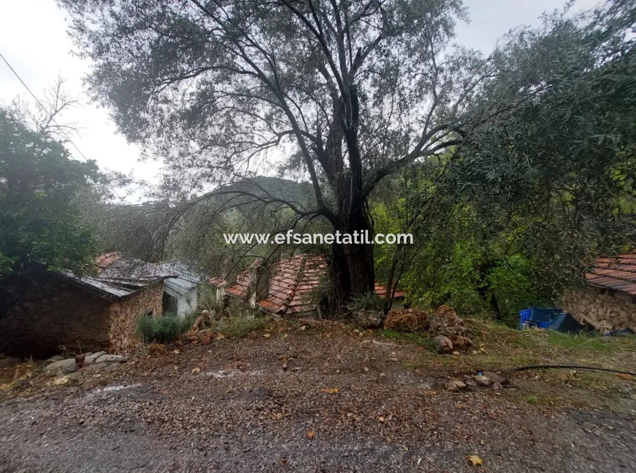 Muğla Fethiye İnlice’de Doğa İçinde Satılık Tapulu Köy Evi