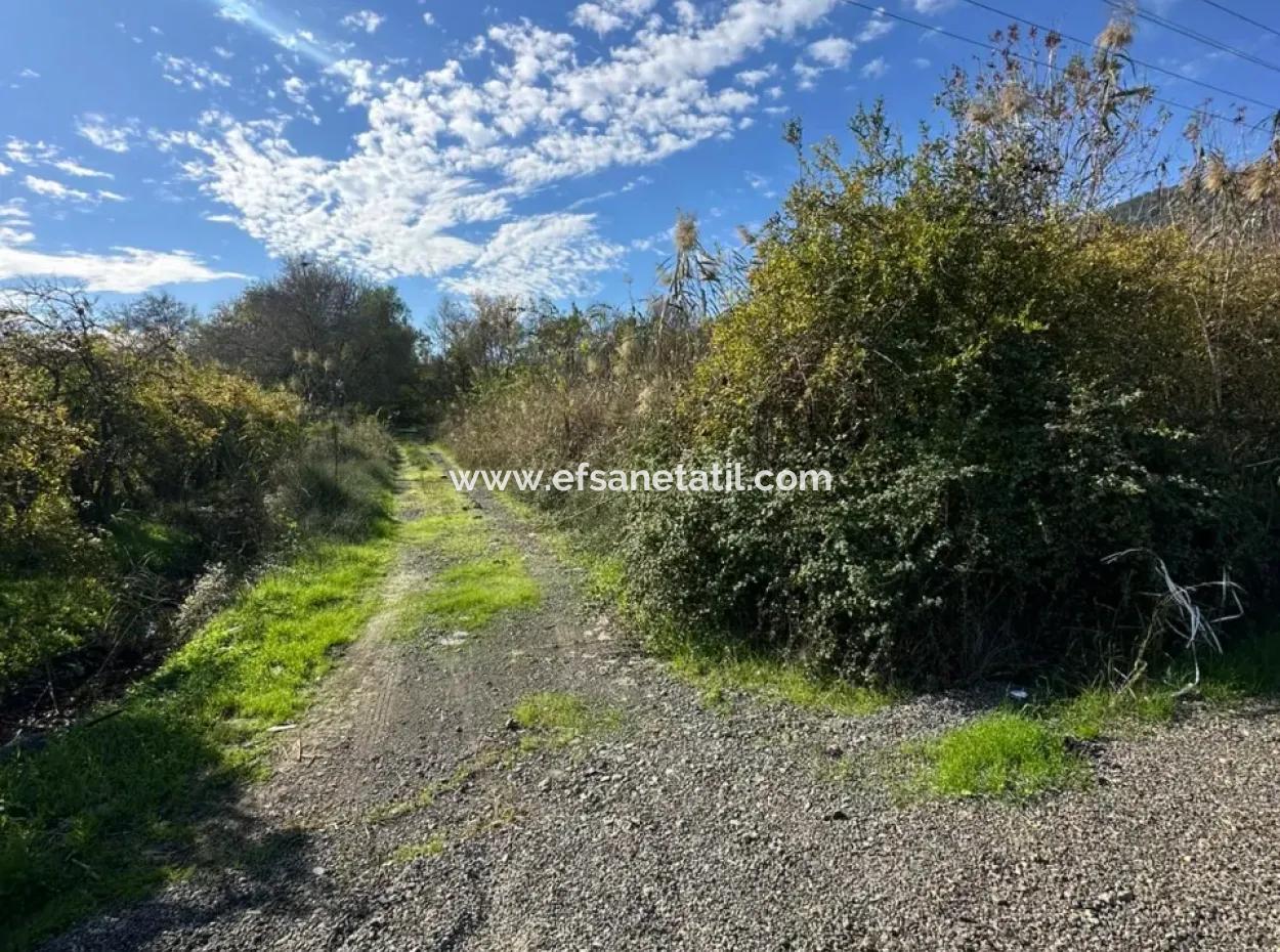 Ortaca Yeşilyurt Da 12 000 M2 Tarla Satılık