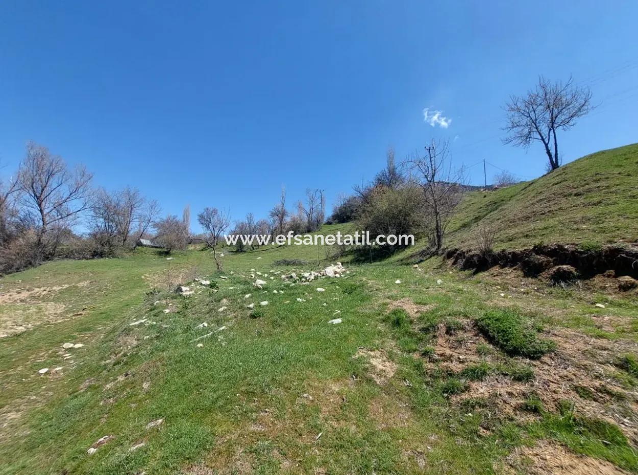 Çameli Cevizli De 750 M2 Mustakil %20/40  İmarlı Arsalar Satılık