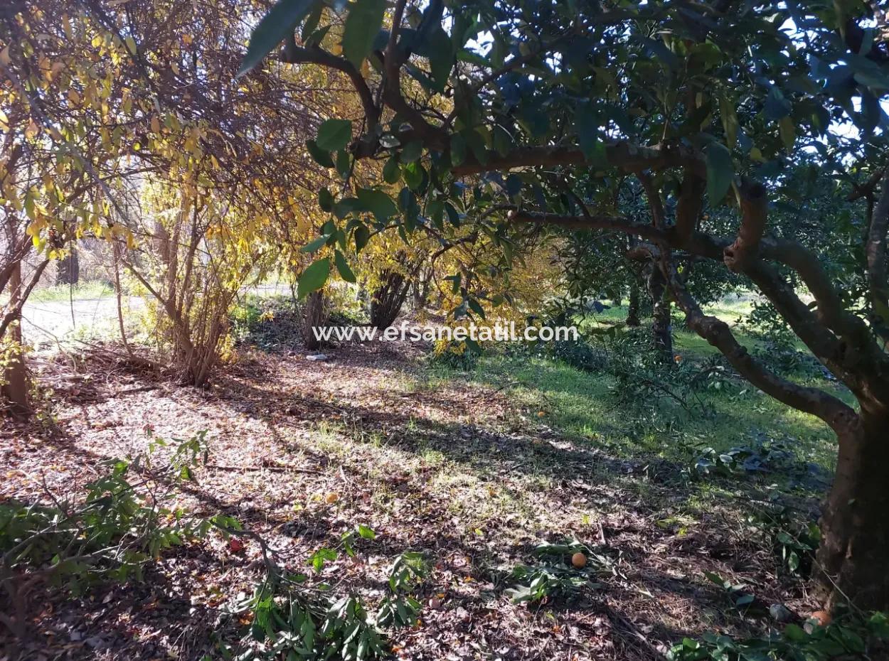 Ortaca Okçularda  250 M2 İnşaat Hakkı Olan, 1000M2 Müstakil Arsa Satılık