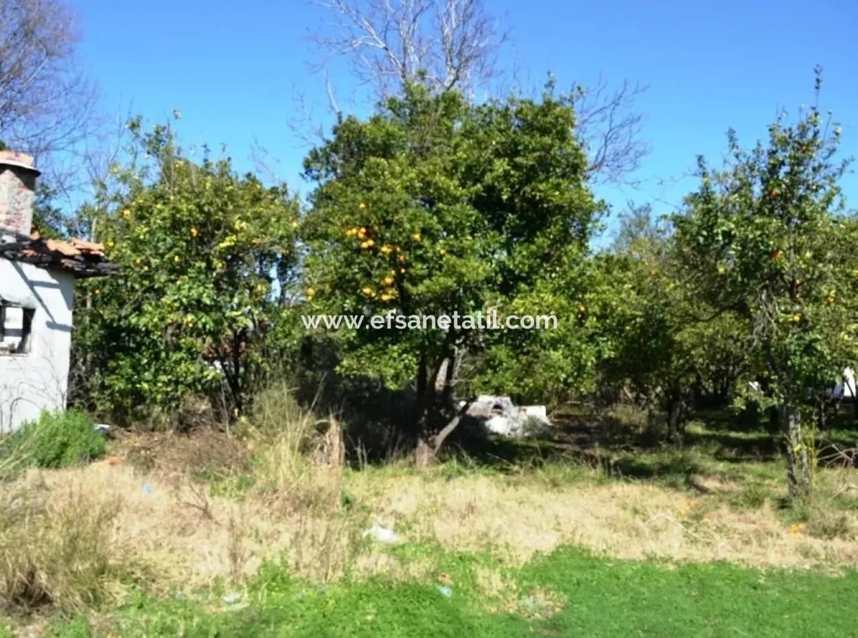 Ortaca Okçularda Satılık Kelepir Köy Evi