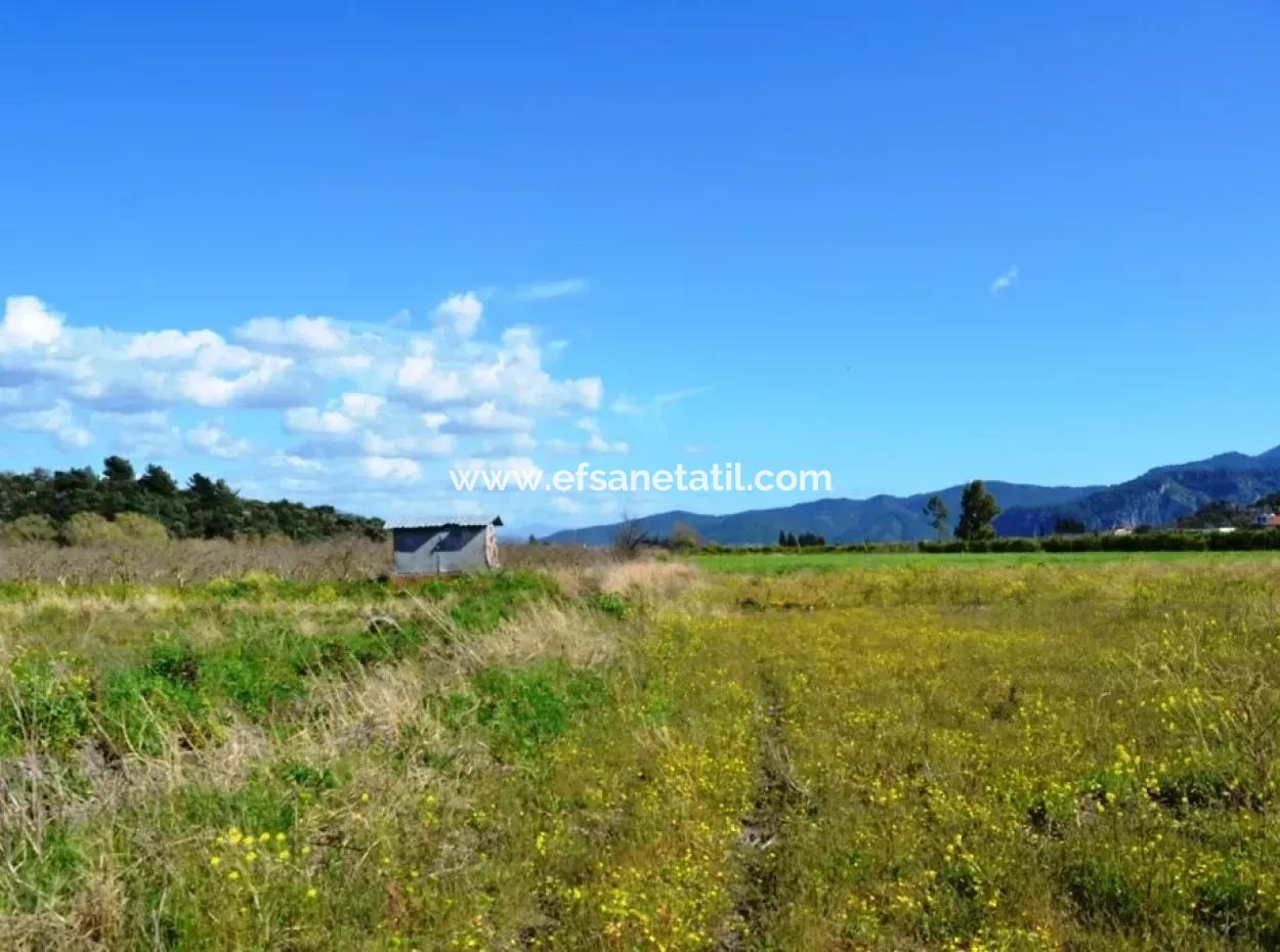 Dalyanda Satılık Müstakil Kelepir Tarla