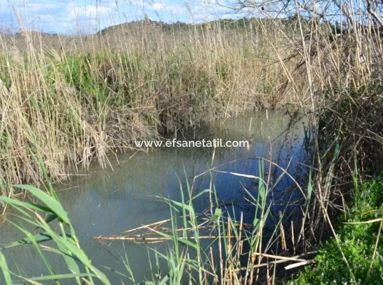 Dalyanda Satılık Müstakil Kelepir Tarla
