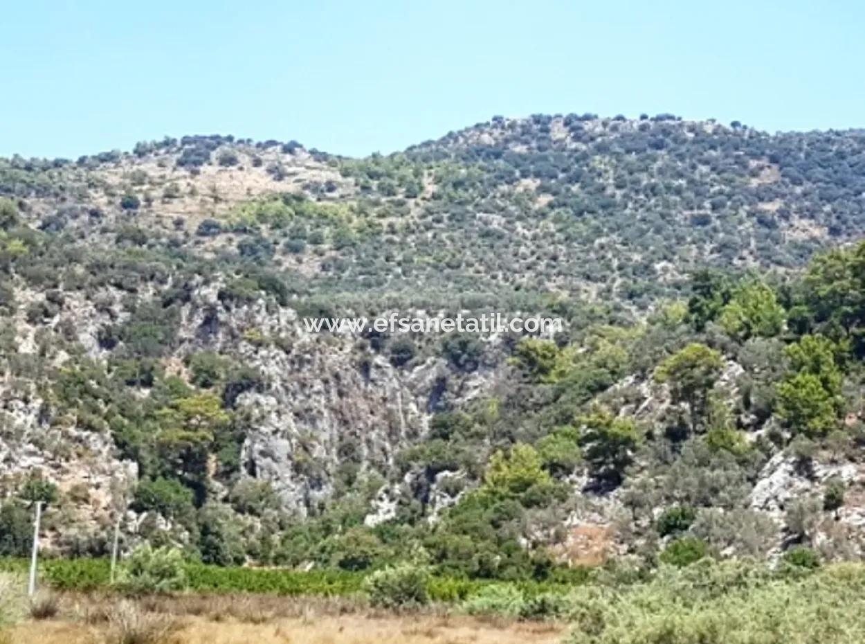 Muğla Dalaman Kapıkargında Satılık Deniz Manzaralı Arazi