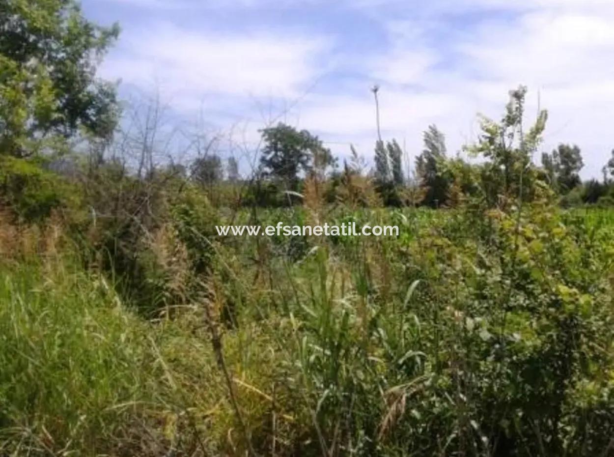 Ortaca Fevziyede Satılık Ana Yola Yakın Arazi