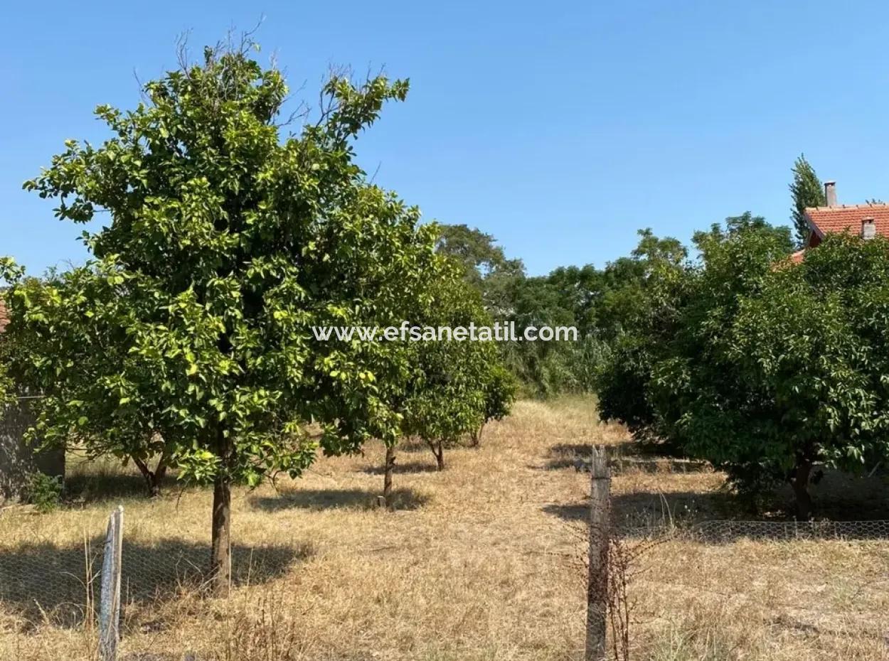 Ortacada Satılık Yatırımlık İmarlı Arsa