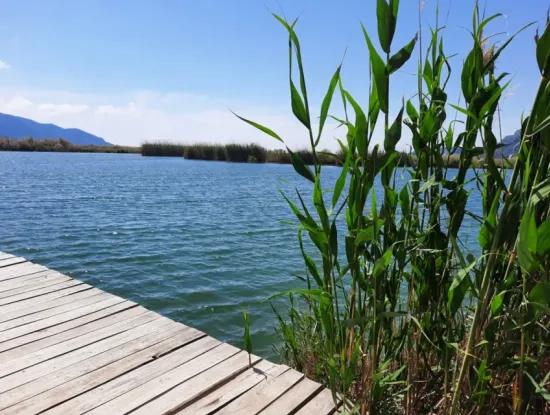 Muğla Dalyanda Satılık Kanala Sıfır Yatırıma Uygun Nar Bahçesi