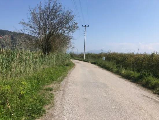 Ortaca Mergenli’de 7.989 M² 150 M² İnşaat İzinli Nar Bahçesi Satılık