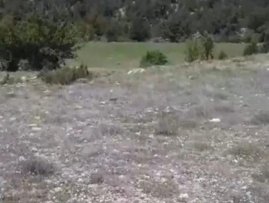 Çameli Ayvacık Ta 1770 M2 Tarla Satılık