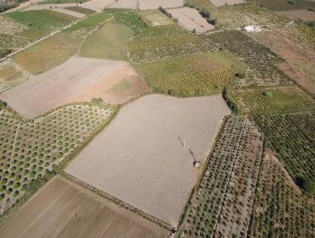 Ortaca Mergenlide Satılık Müstakil Verimli Kelepir Arazi