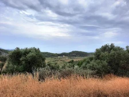 Muğla Sarıgermede Satılık Deniz Manzaralı Arsalar