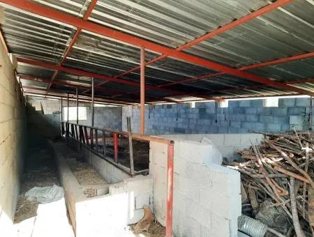 Denizli Çameli Cevizlide Satılık 2 700 M2 Arazi Ve Köy Evi