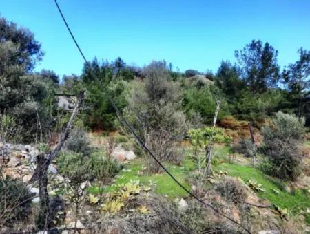 Muğla Dalyan Gökbelde 1700 M2 Doğa Manzaralı Müstakil Arazi Ve Bungalov