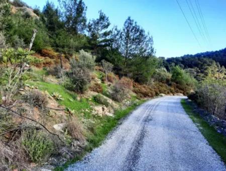 Muğla Dalyan Gökbelde 1700 M2 Doğa Manzaralı Müstakil Arazi Ve Bungalov