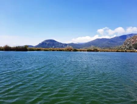 Muğla Dalyanda Satılık Kanala Sıfır Yatırıma Uygun Nar Bahçesi