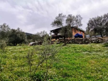 Fethiye Göcek Taşbaşında Satılık Doğa İçinde Müstakil Köy Evi