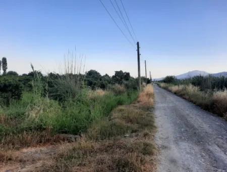Köyceğiz Toparlarda 3500 M2 Portakal Ve Mandalina Bahçesi Satılık