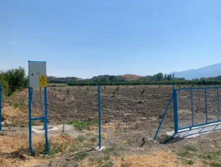 Muğla Ortaca Tepearasında 7300 M2 Limon Tarlası Satılık