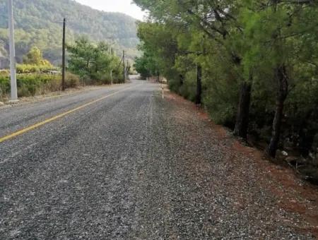 Muğla Köyceğiz Çandırda 9996 M2 Asfalt Cepheli Arazi Satılık